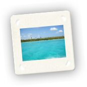 Saona (16).jpg